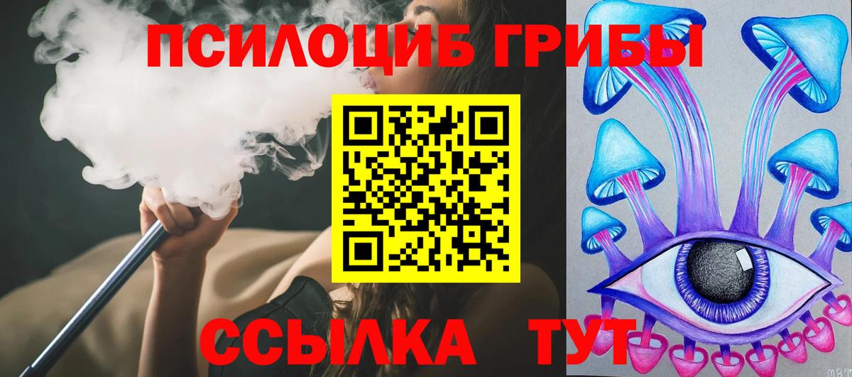 Галлюциногенные грибы Psilocybine cubensis Симферополь