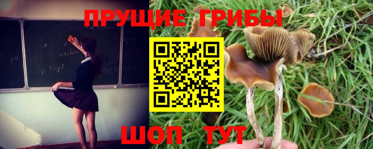 цена   Галлюциногенные грибы Psilocybe  Вход с VPN  Симферополь 